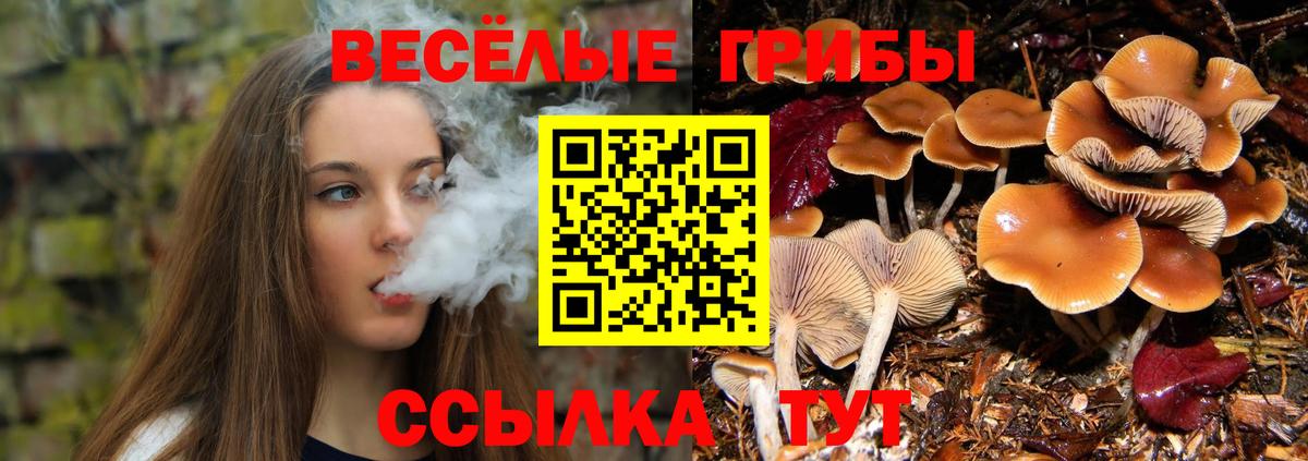 Галлюциногенные грибы MAGIC MUSHROOMS Знаменск
